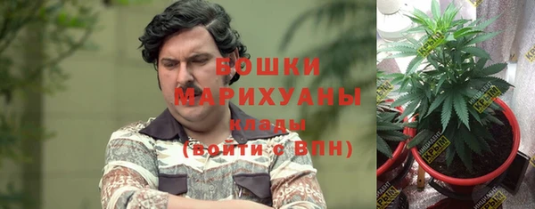 мяу мяу мука Костерёво