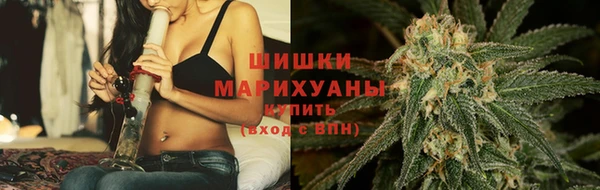 ПСИЛОЦИБИНОВЫЕ ГРИБЫ Коряжма