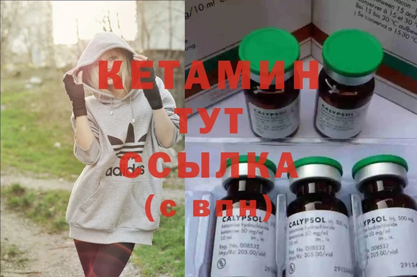 ПСИЛОЦИБИНОВЫЕ ГРИБЫ Коряжма